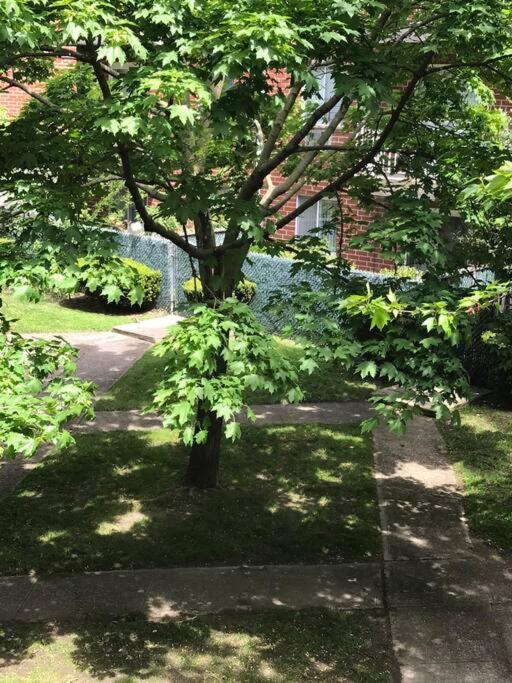 Brooklyn Luxury Spring Retreat With Private Outdoor Space New York Eksteriør billede