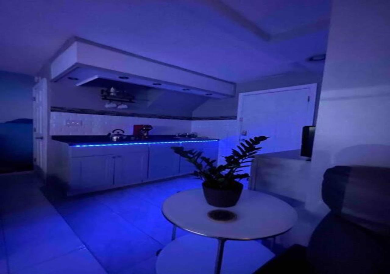 Brooklyn Luxury Spring Retreat With Private Outdoor Space New York Eksteriør billede